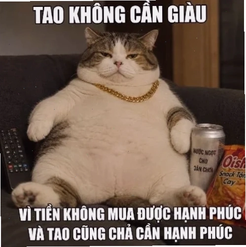 mèo cơ bắp meme mèo cơ bắp meme nhảy múa