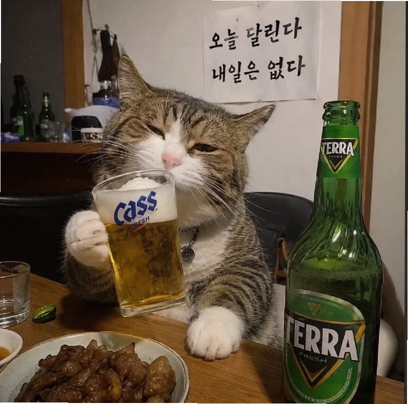 Mèo phấn khích Mèo cười ngất nâng chai bia cùng meme uống bia