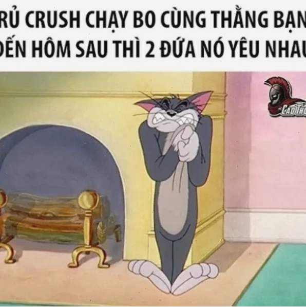 Mèo đau tim meme Mèo đau tim meme đáng yêu
