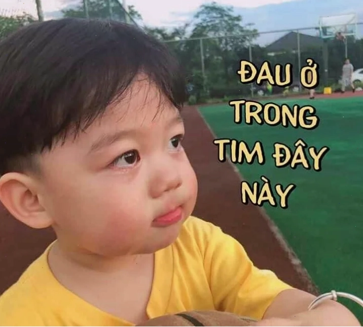 Mèo meme sáng tạo Mèo đau tim meme độc đáo