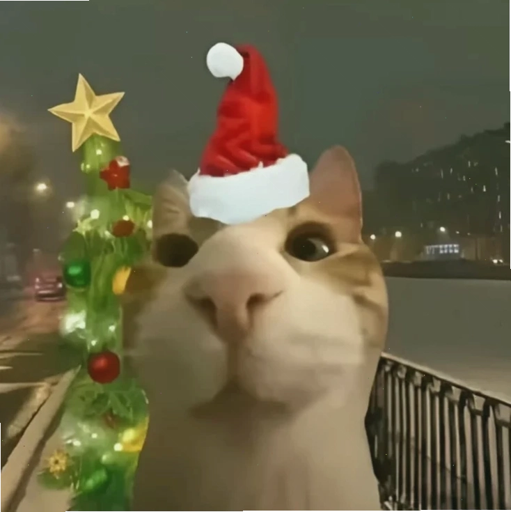 mèo giáng sinh meme mũ ông già Noel mèo giáng sinh meme chú mèo đội mũ ông già Noel