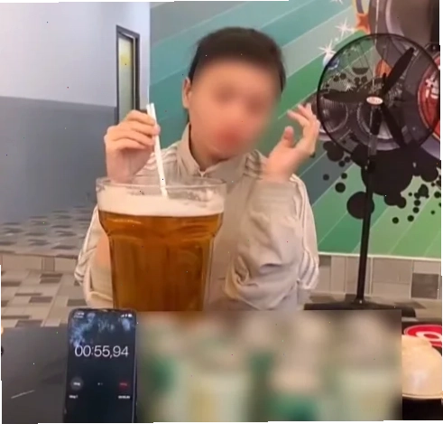 Mèo gục bàn Mèo gục xuống bàn cùng meme uống bia