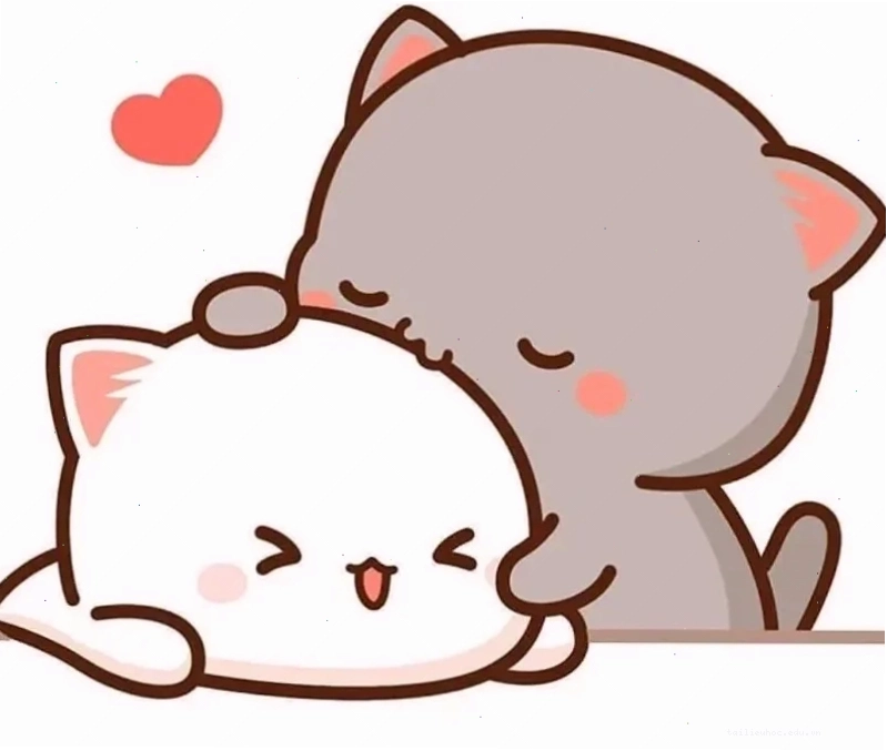 Mèo hôn meme độc đáo mèo hôn meme độc đáo