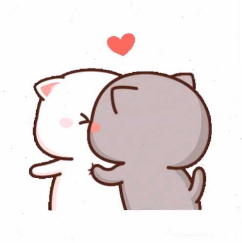 Mèo hôn meme ngộ nghĩnh mèo hôn meme ngộ nghĩnh