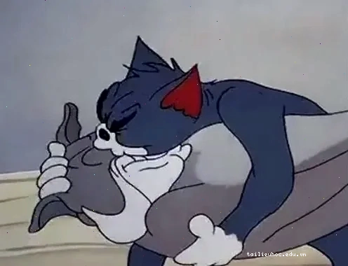 Mèo hôn meme vui vẻ mèo hôn meme vui vẻ
