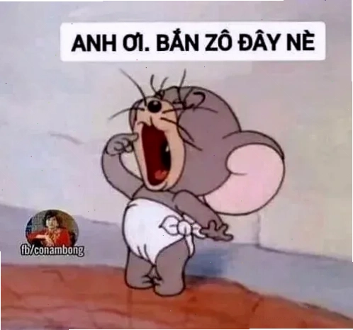 Mèo siêu lầy Mèo lầy lội với dòng chữ meme em yêu anh