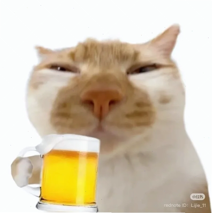 Mèo ngồi bàn nhậu Mèo ngồi bàn nhậu cùng meme uống bia