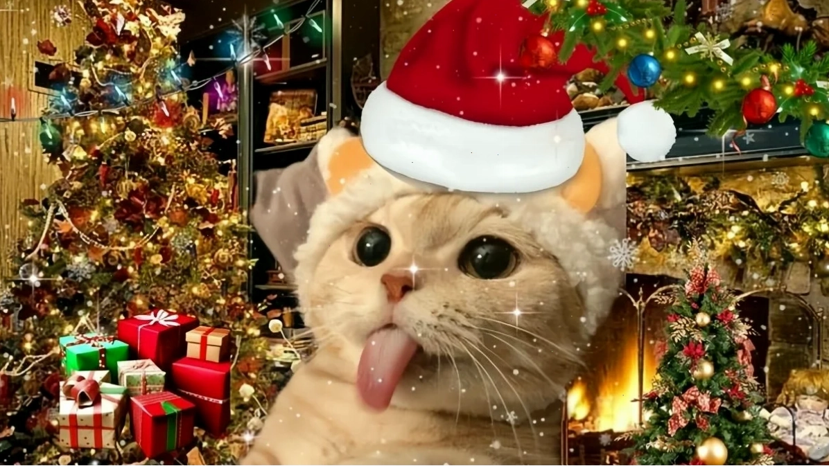 Mèo phá phách đồ trang trí Noel Mèo noel meme nghịch ngợm dây đèn