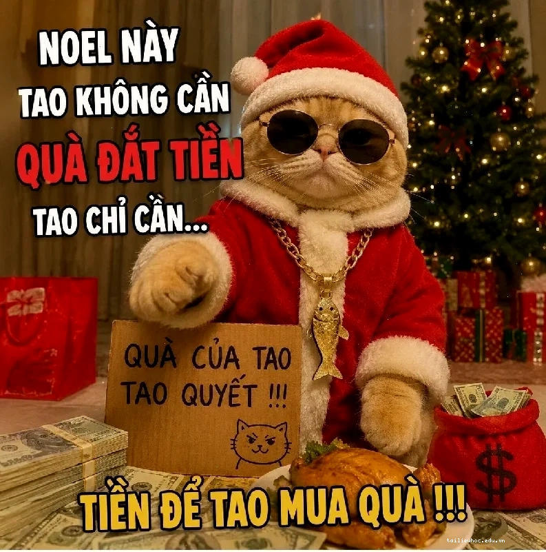 Mèo đón Giáng sinh cùng quà tặng Mèo noel meme vui vẻ bên quà