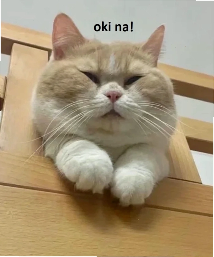 Mèo ok ngầu mèo ok meme