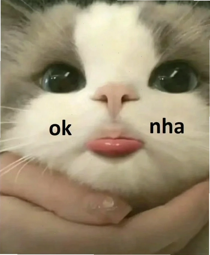 Mèo ok nhỏ mèo ok meme