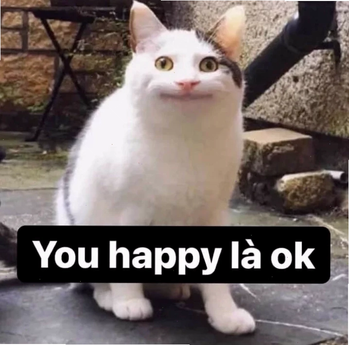 Mèo ok mệt mỏi mèo ok meme