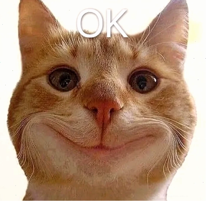 Mèo ok đáng yêu mèo ok meme
