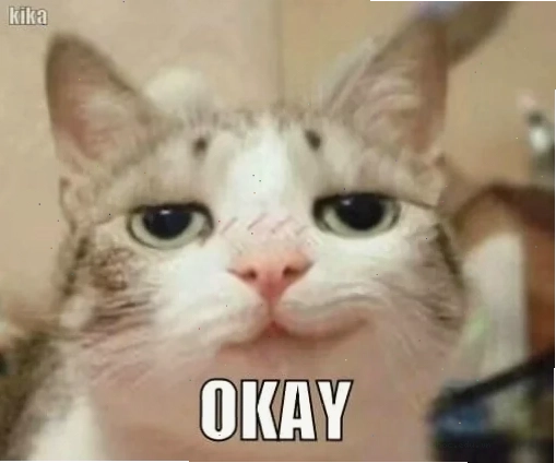 Mèo giơ tay ok mèo ok meme