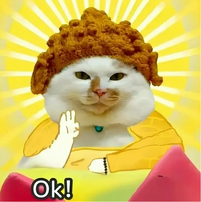 Mèo ok văn phòng mèo ok meme
