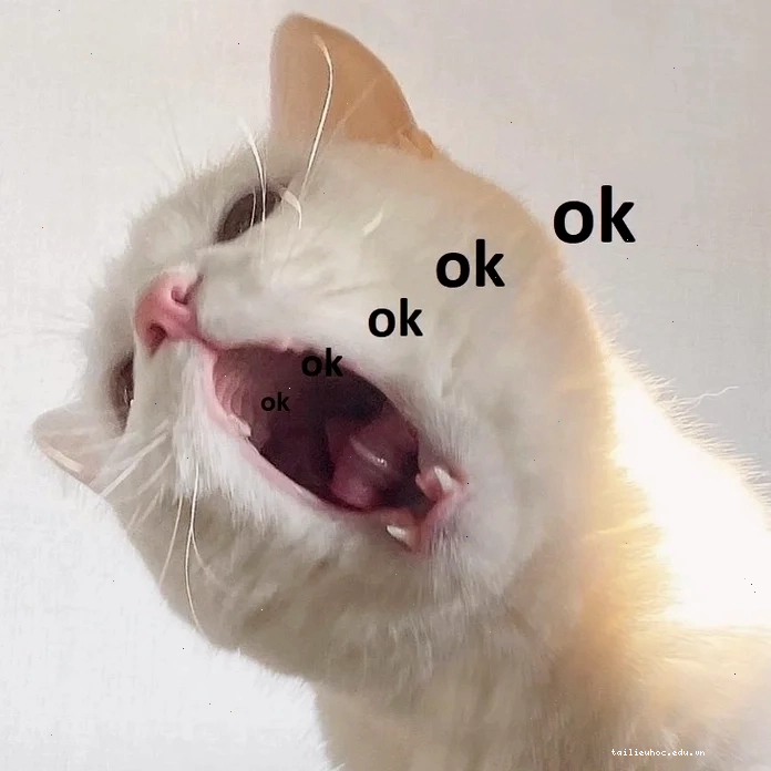 Mèo ok thần thái mèo ok meme