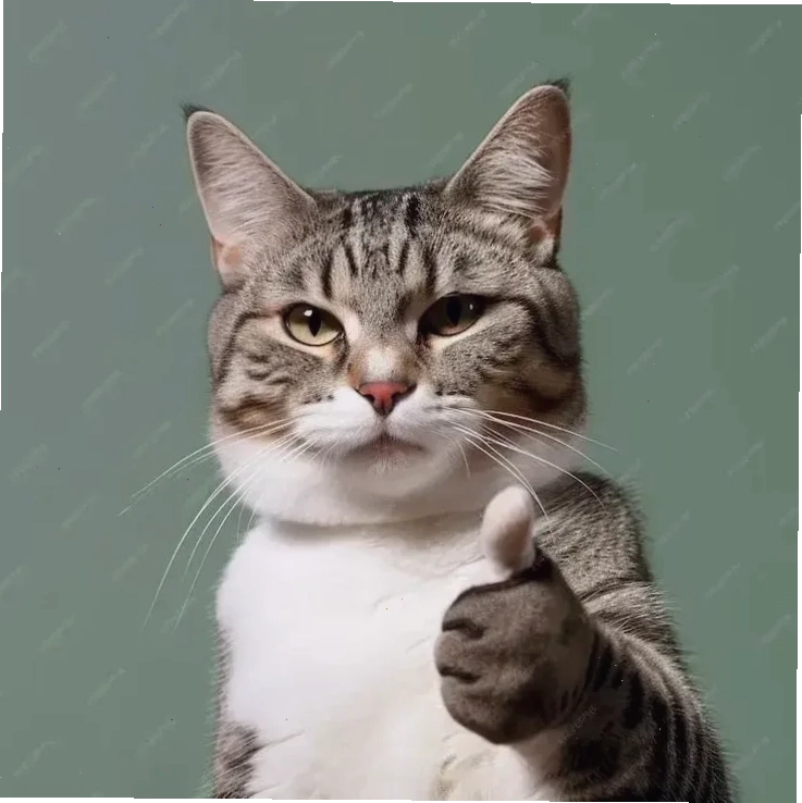 Mèo ok nghiêm túc mèo ok meme