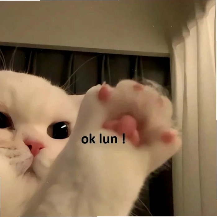 Mèo ok buồn mèo ok meme