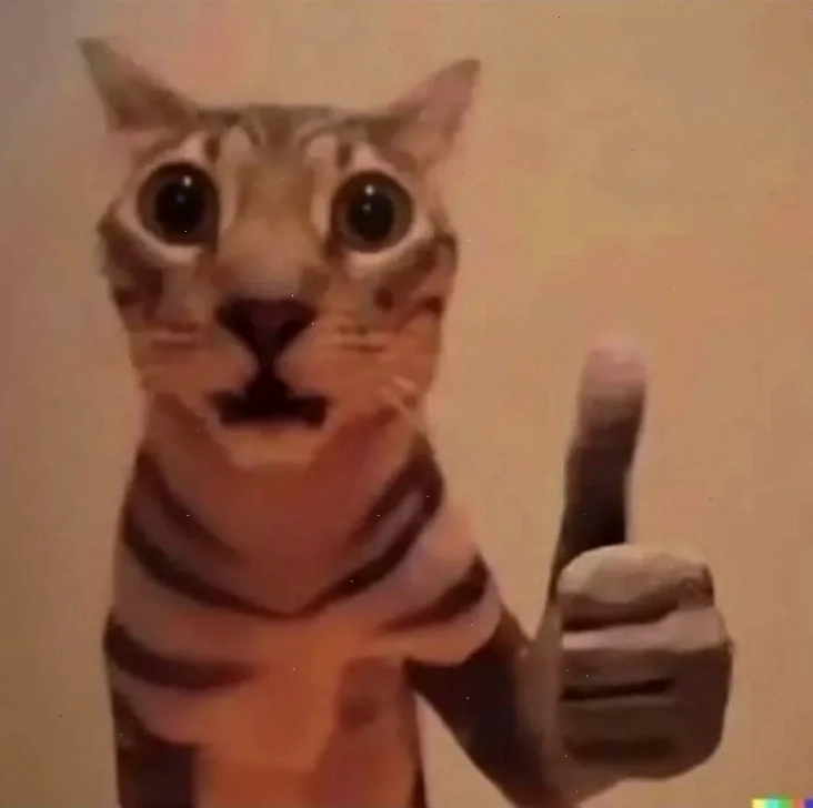 Mèo ok trêu chọc mèo ok meme