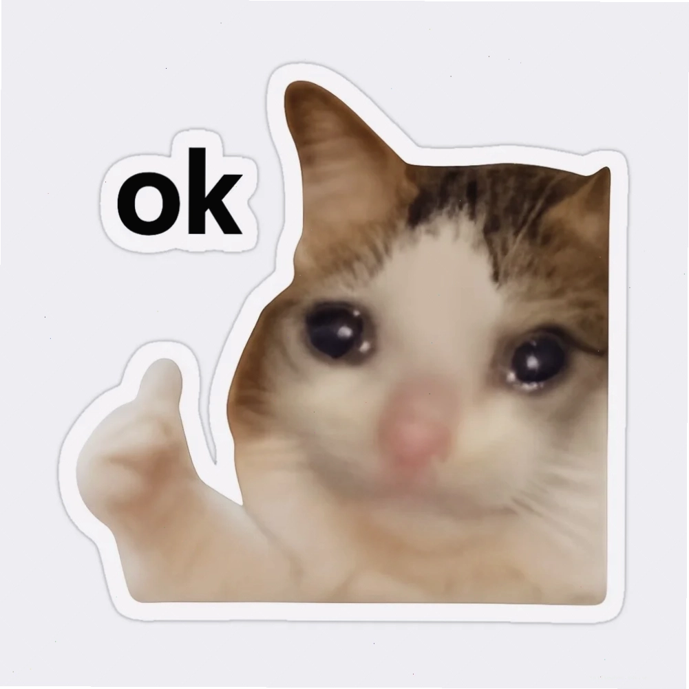 Mèo ok thông thái mèo ok meme