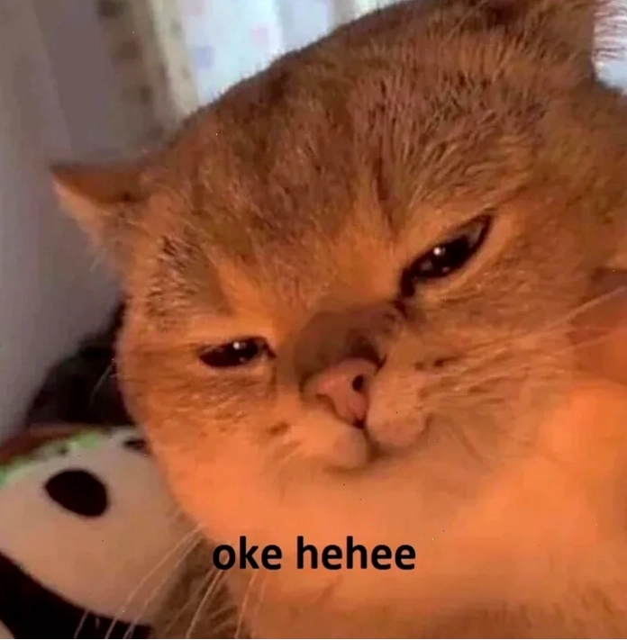 Mèo ok giả trân mèo ok meme