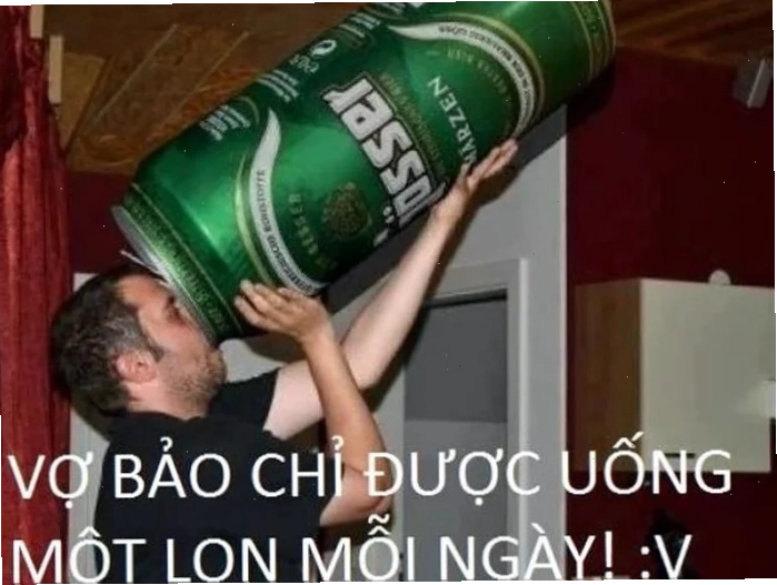 Mèo ôm rượu Mèo ôm chai rượu cùng meme uống bia