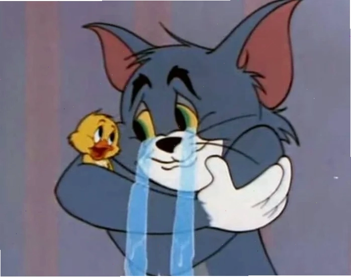 Mèo ôm nhau trên cây