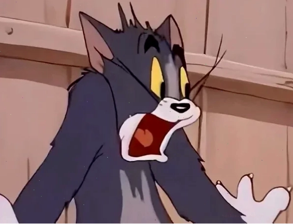 Mèo há hốc Mèo sợ hãi meme há hốc mồm