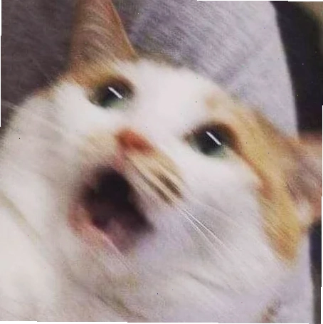 Mèo né tránh Mèo sợ hãi meme né tránh