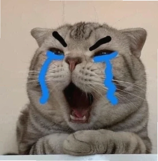 Mèo run rẩy Mèo sợ hãi meme run rẩy