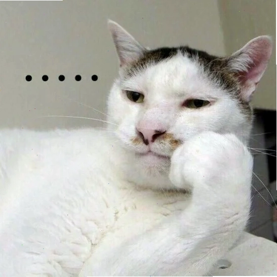 mèo trầm cảm meme buồn bã bên cửa sổ