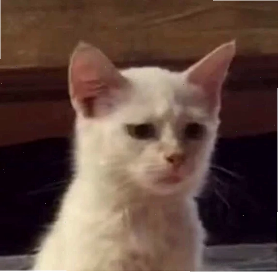 mèo trầm cảm meme mệt mỏi