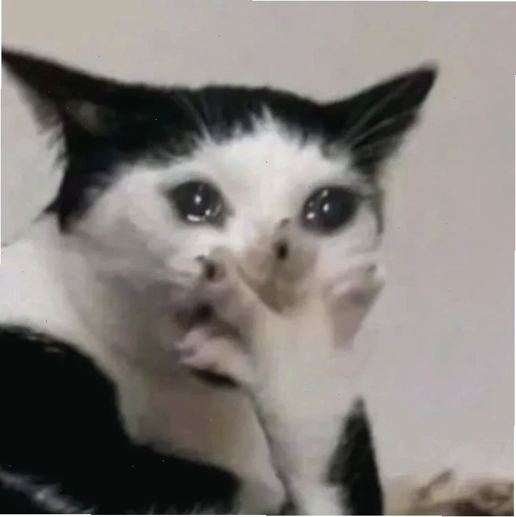 mèo trầm cảm meme nằm im lìm