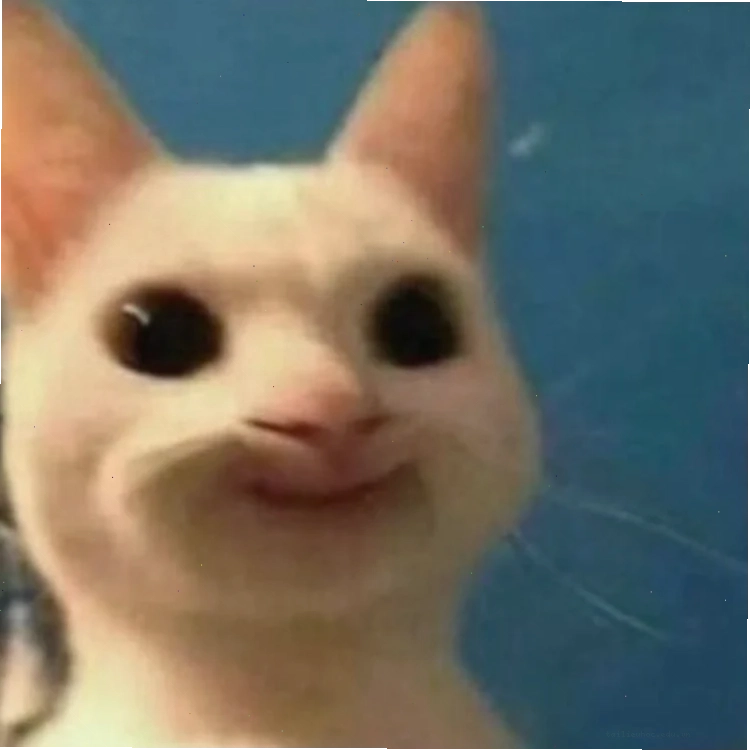 mèo vô tri meme bối rối mèo vô tri meme bối rối