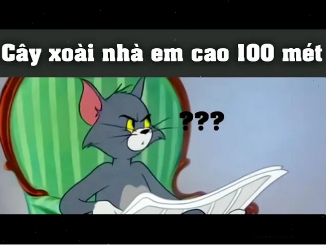 mèo vô tri meme nhếch mép mèo vô tri meme nhếch mép
