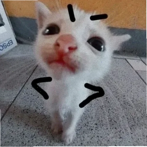 mèo vô tri meme nhìn xa xăm mèo vô tri meme nhìn xa xăm