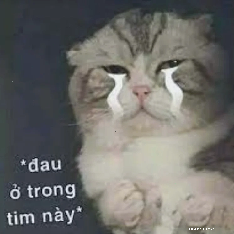 Meme đau tim trong đời sống Một chiếc đau tim meme hài hước
