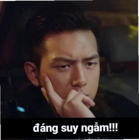 Chú chó suy tư Một chú chó đang ngồi trầm ngâm đúng chuẩn meme đáng suy ngẫm