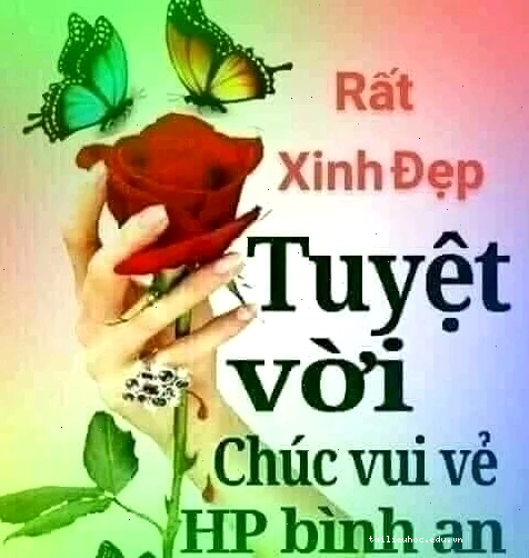 Một chú mèo xinh đẹp tuyệt vời meme dễ thương
