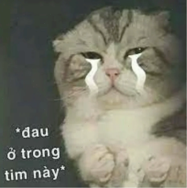 Một chú vịt đang ôm ngực đầy tâm trạng