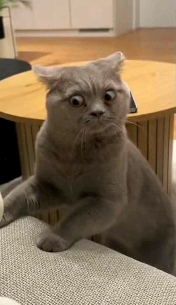 Em bé sốc Một em bé đang há mồm vì sốc meme