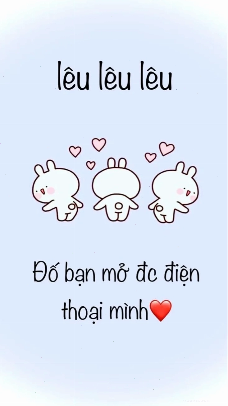 Một mẫu hình nền vui nhộn về động vật