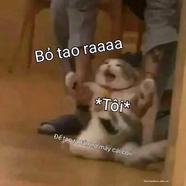 Meme tức giận Một meme đừng cản tao đầy tức giận