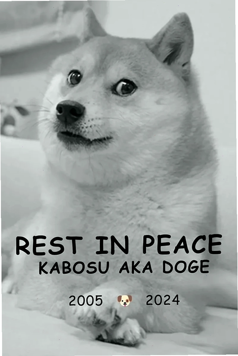 Meme xu hướng Một <strong>) meme</strong> hài hước