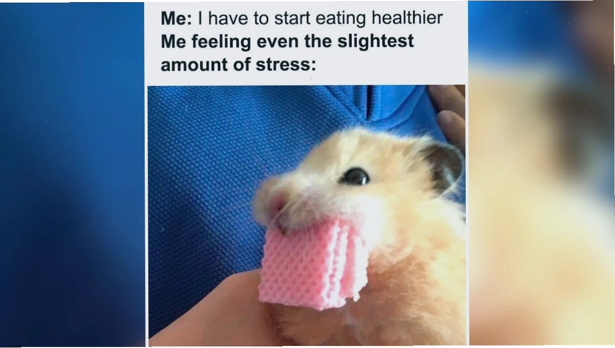 Meme thú vị Một <strong>) meme</strong> hài hước