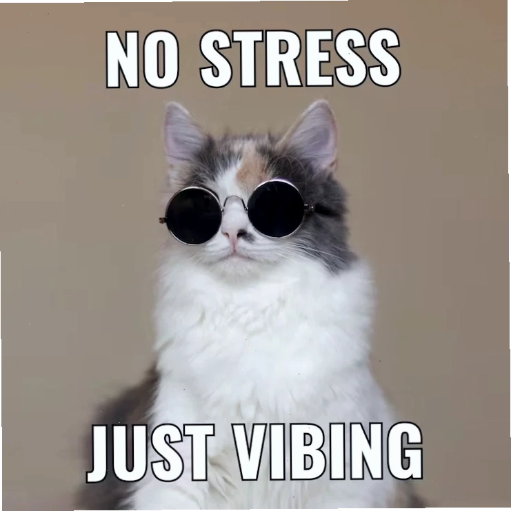 Meme kết Một <strong>) meme</strong> hài hước