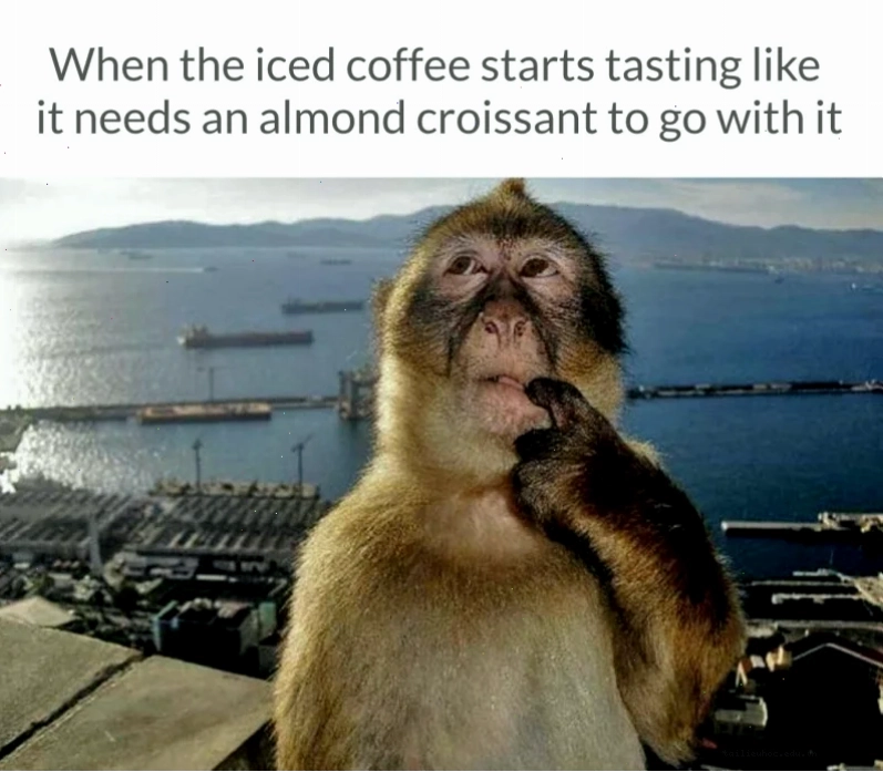 Meme hot Một <strong>) meme</strong> hài hước