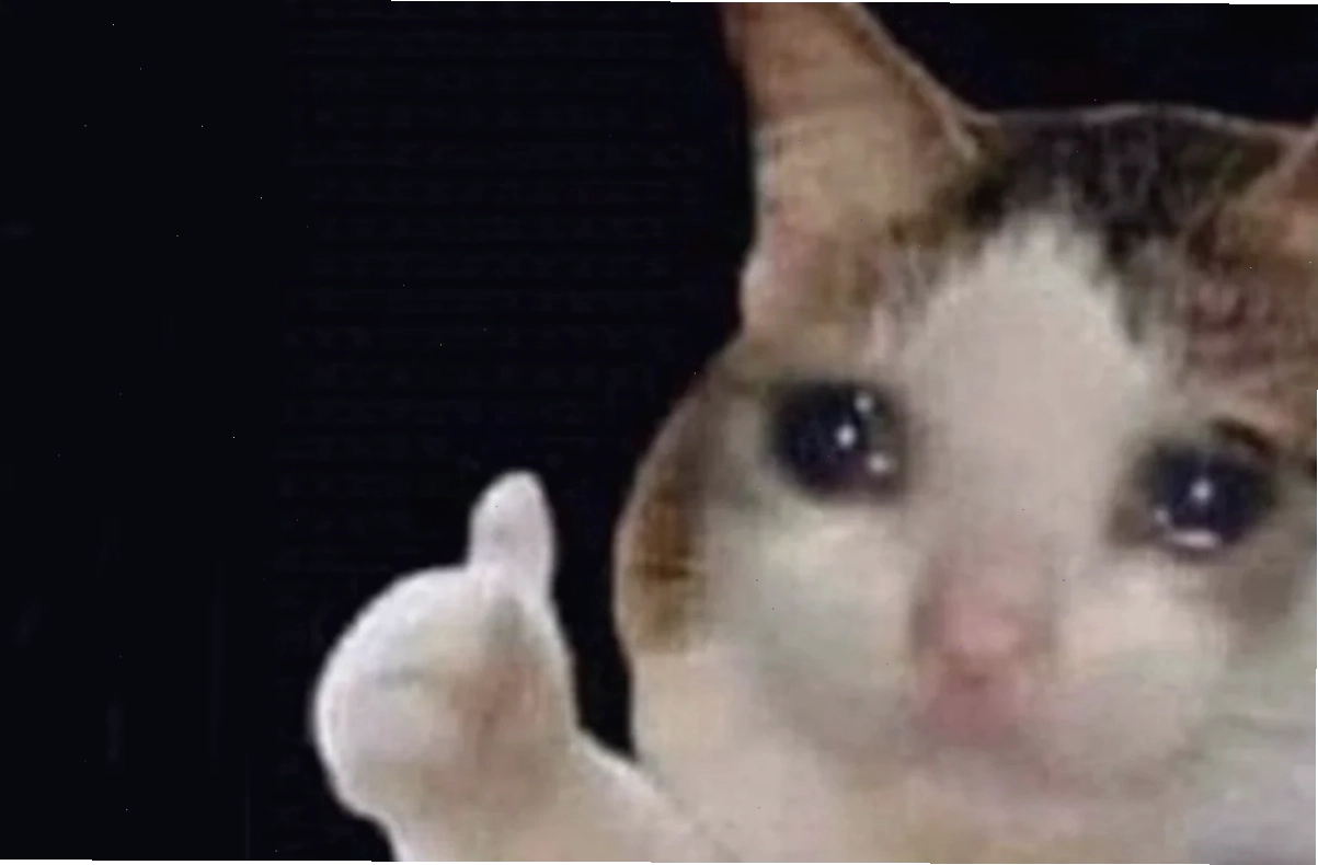 Meme tổng hợp Một <strong>) meme</strong> hài hước