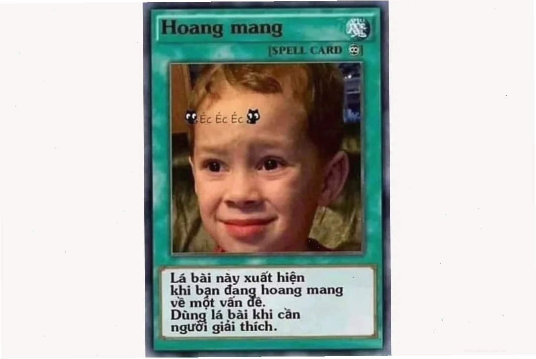 Các lá bài meme trong thực tế Một ví dụ điển hình về các lá bài meme hài hước