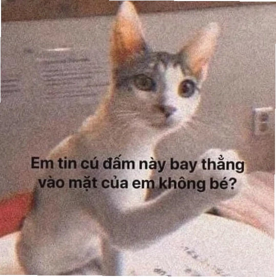 Meme đấm giận dữ nắm đấm meme tức giận